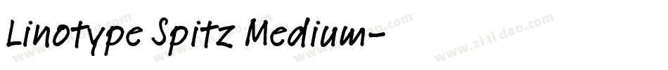 Linotype Spitz Medium字体转换